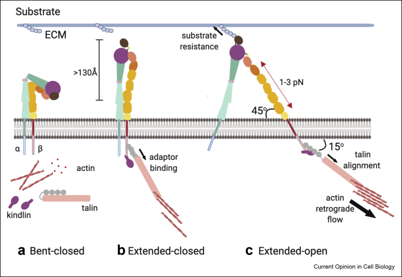 Figure 1