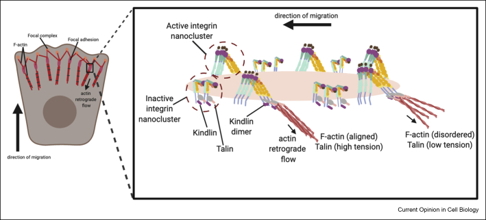 Figure 2