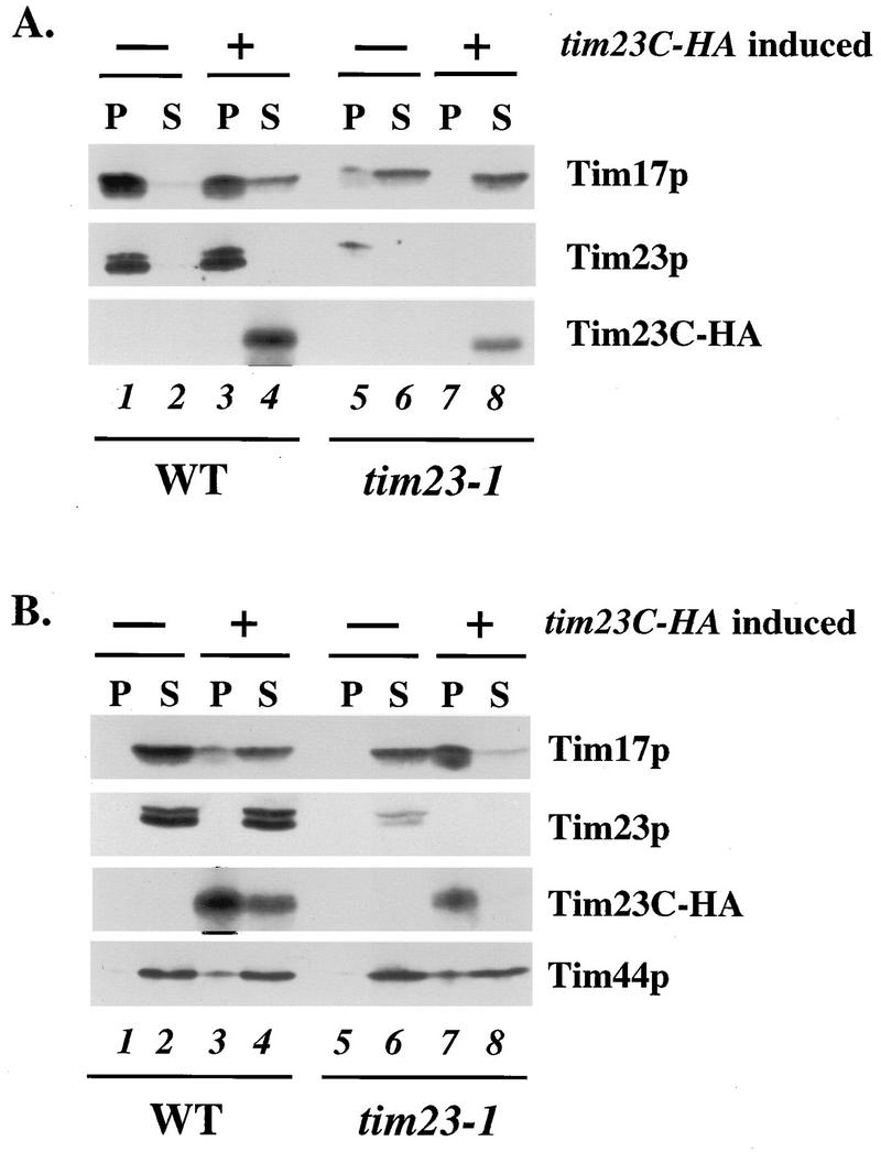 FIG. 7