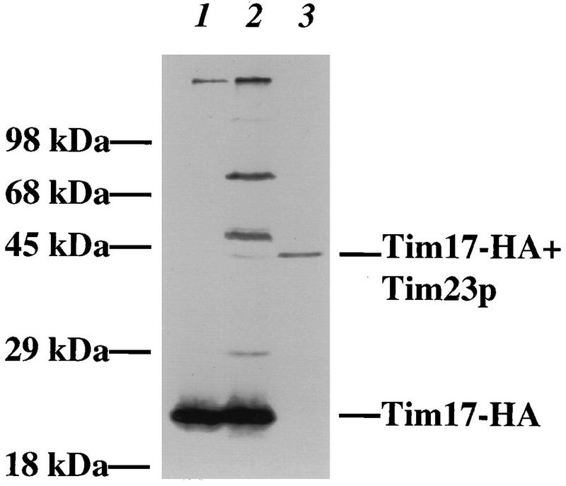 FIG. 8