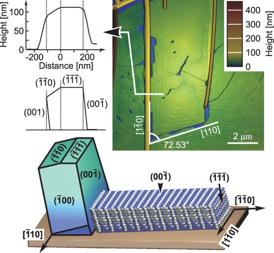 Figure 5