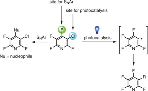 Scheme 5