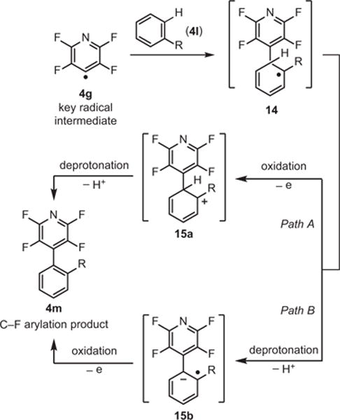 Scheme 8