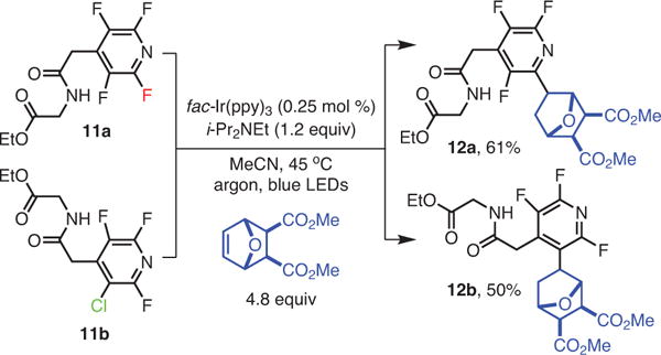 Scheme 6