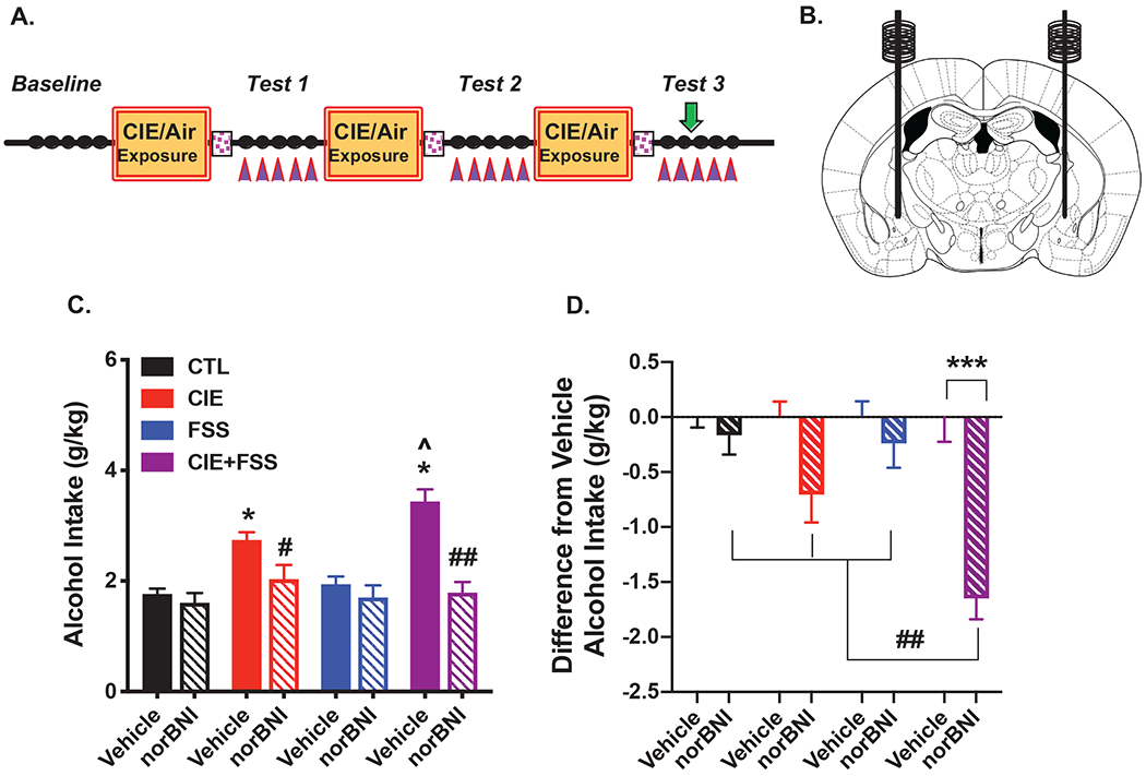 Figure 4: