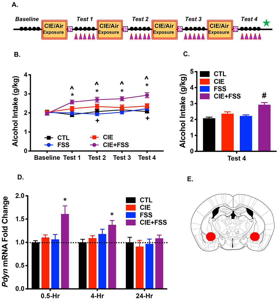 Figure 2: