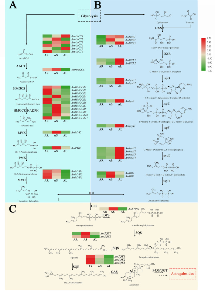 Fig. 6