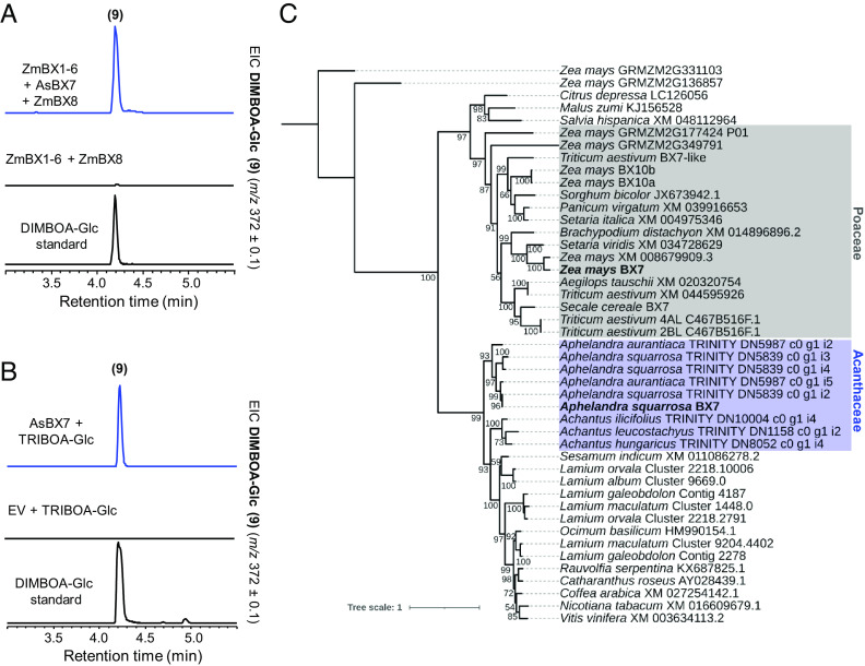Fig. 6.