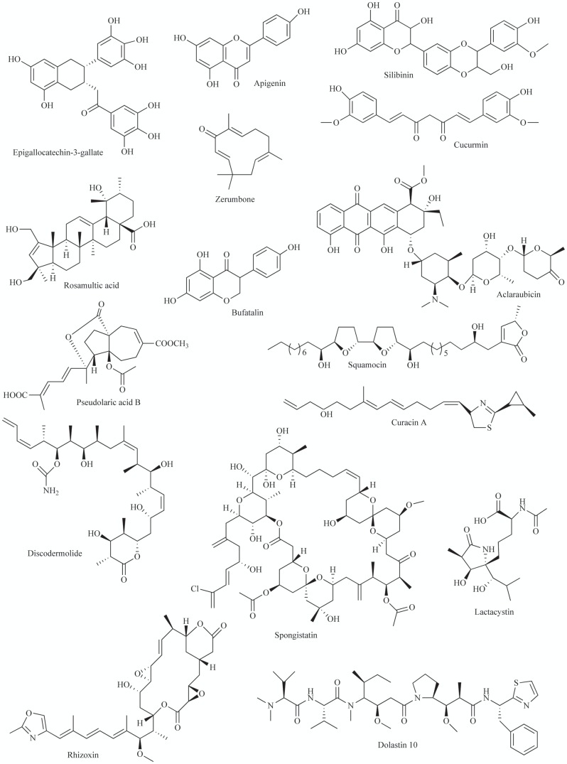 Fig. (2)