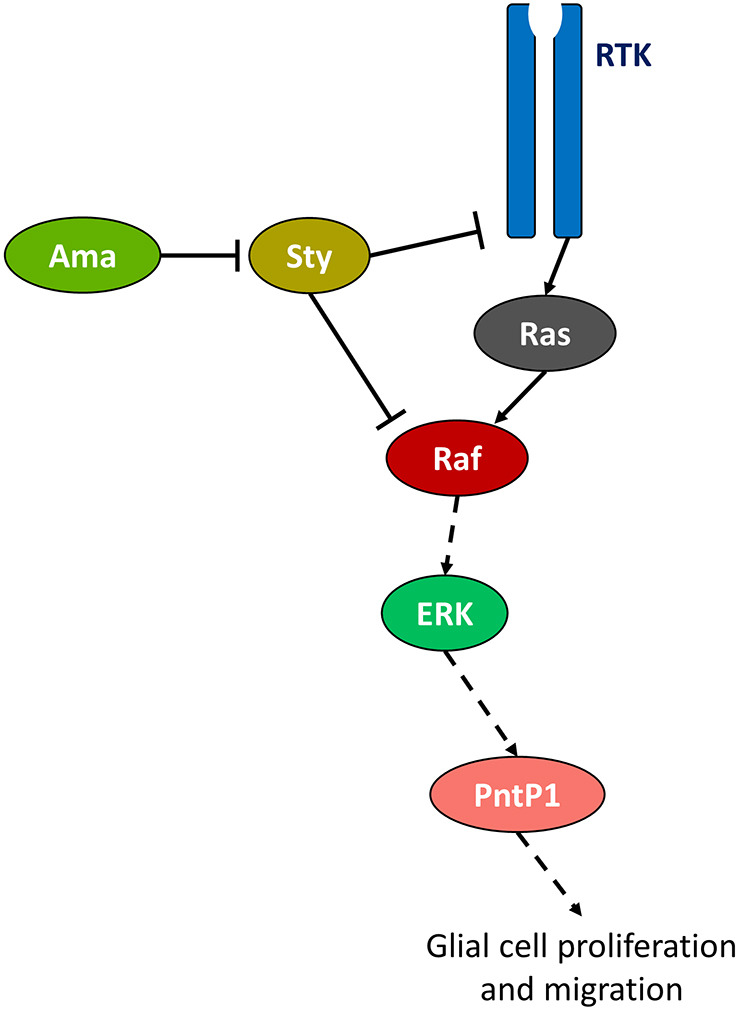 Fig. 8.