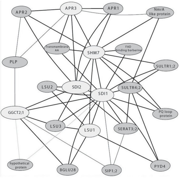 Fig. 2.