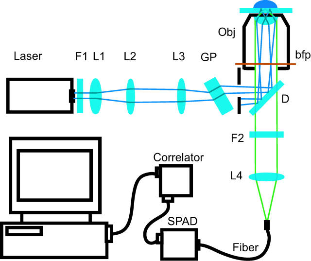 FIGURE 1 