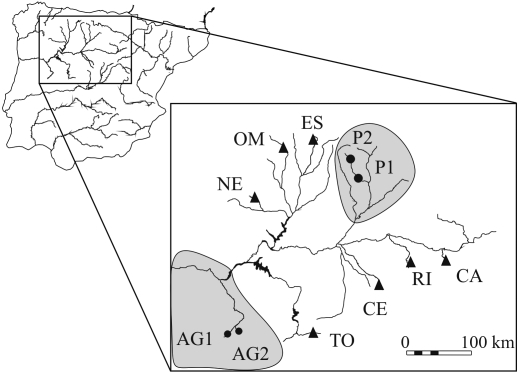 Figure 1