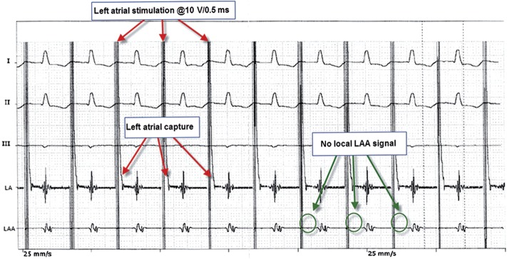 Figure 3: