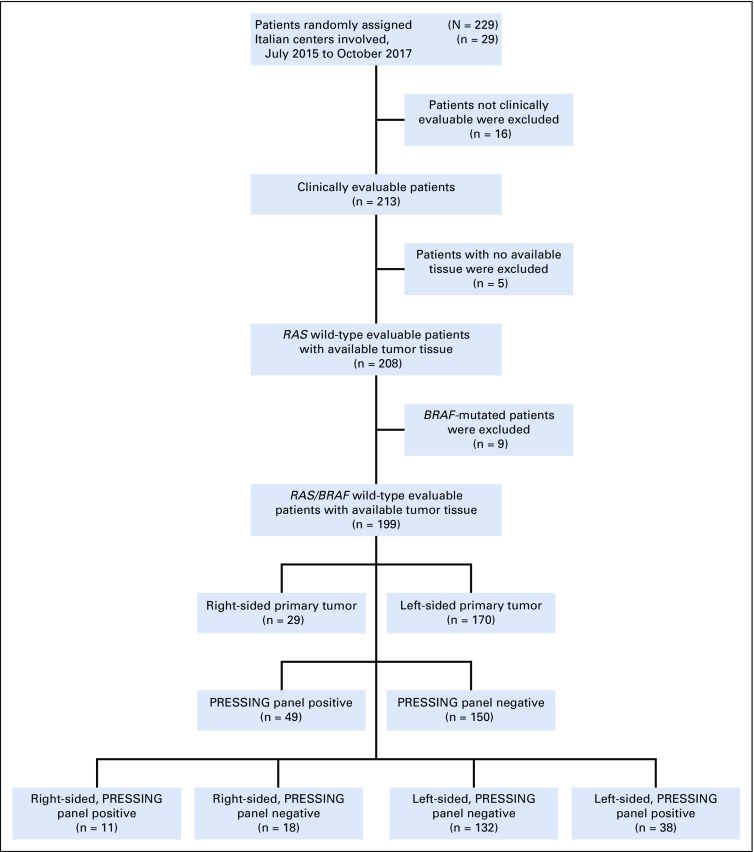 FIG A1.