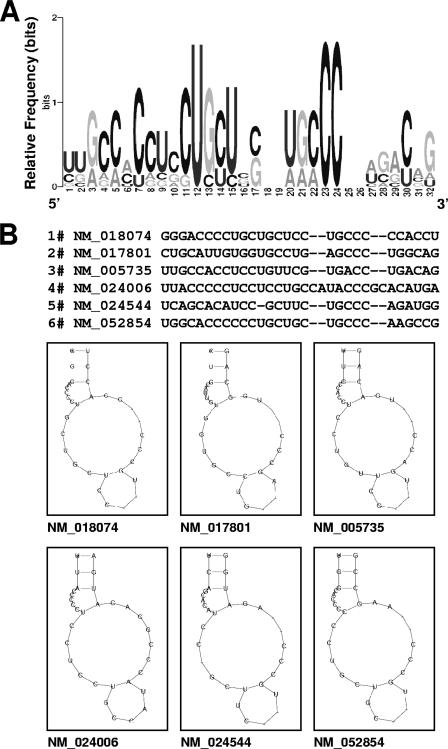 FIG. 1.