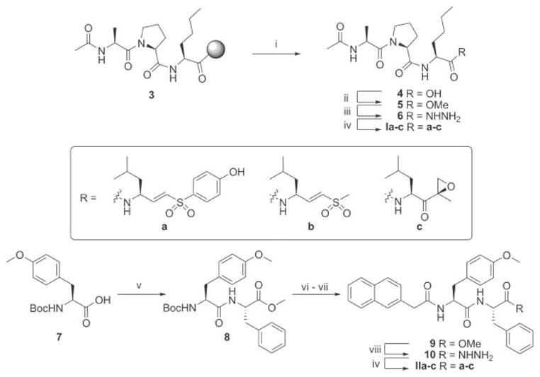 Scheme 1