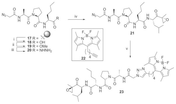 Scheme 3