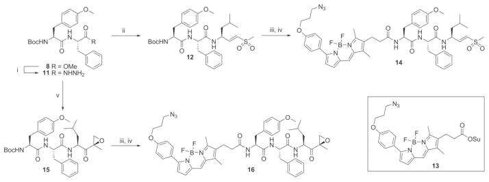 Scheme 2