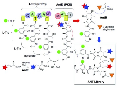 Figure 3. 