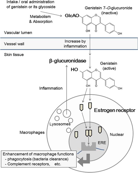 Figure 9