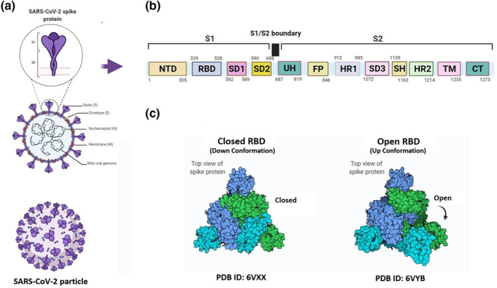 FIGURE 1