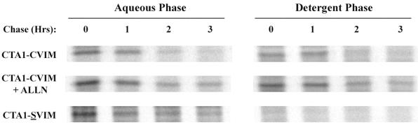 FIG. 5.