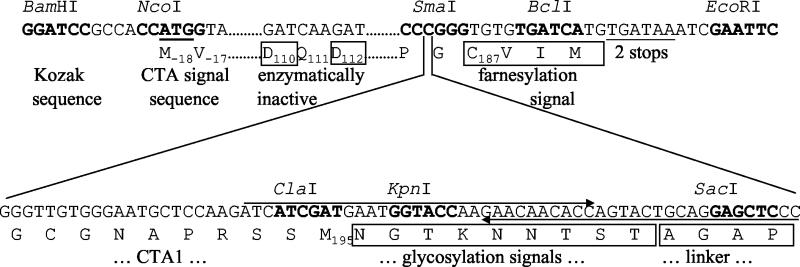 FIG. 1.