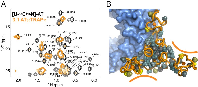 Fig. 3.