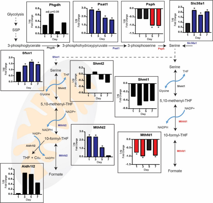 FIGURE 3