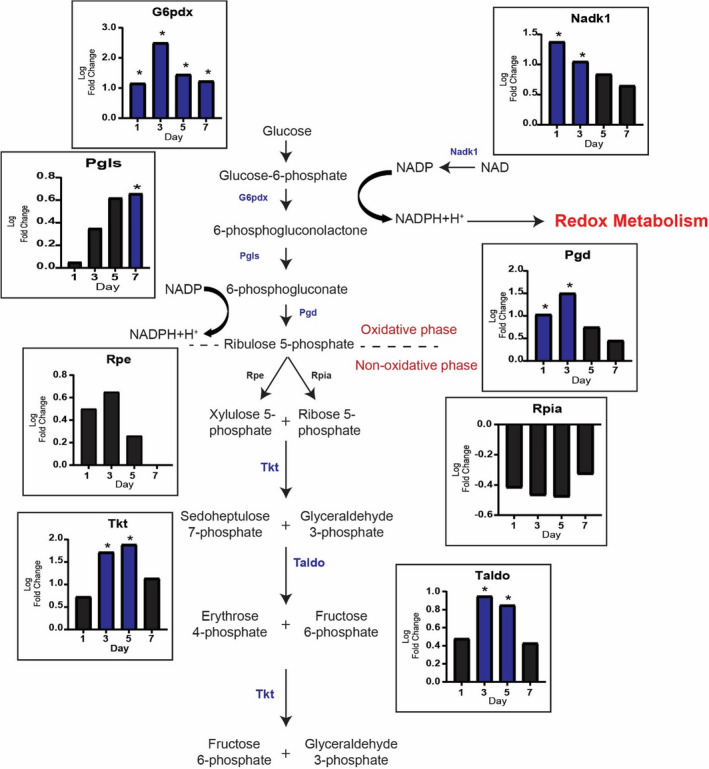 FIGURE 2