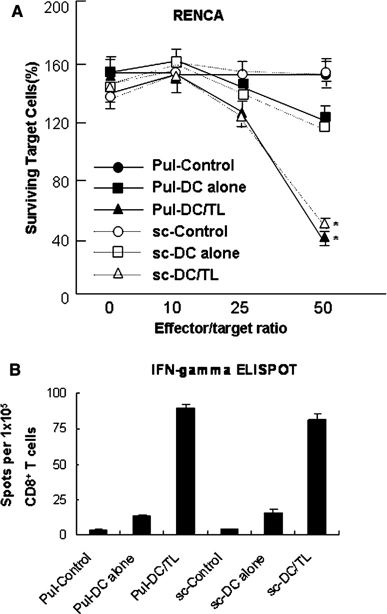 Fig. 5