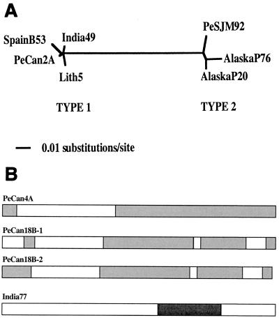 FIG.3.