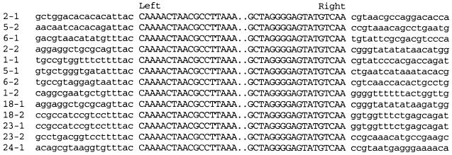 FIG. 6.