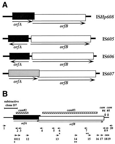 FIG. 1.