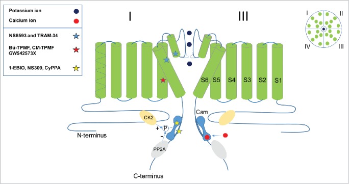 Figure 1.