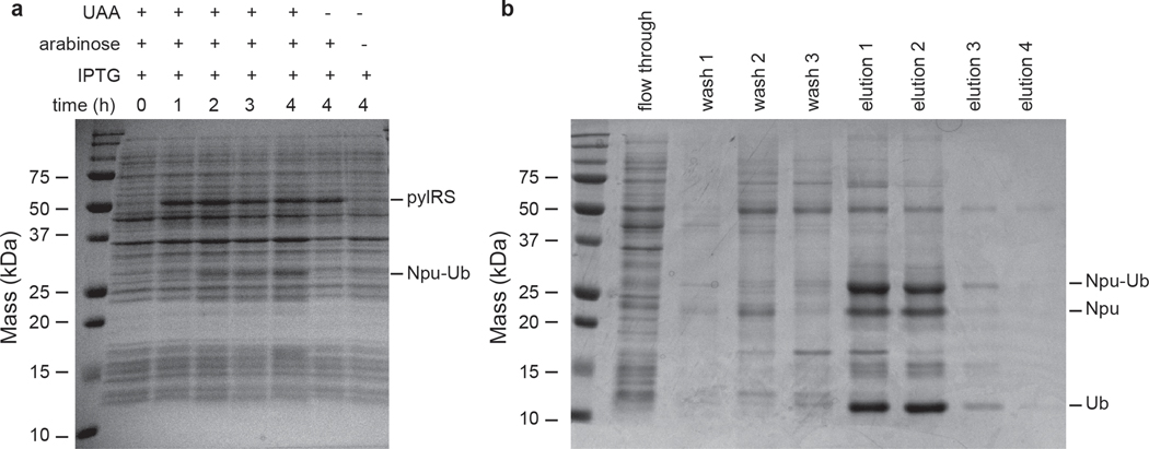 Figure 3.