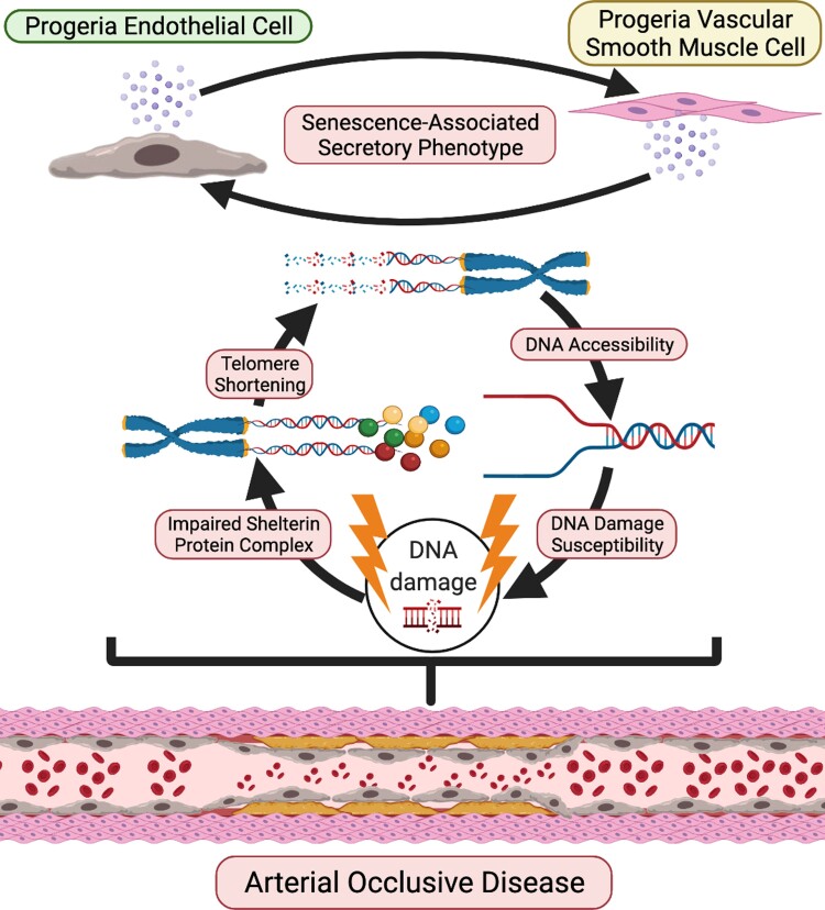 Graphical Abstract