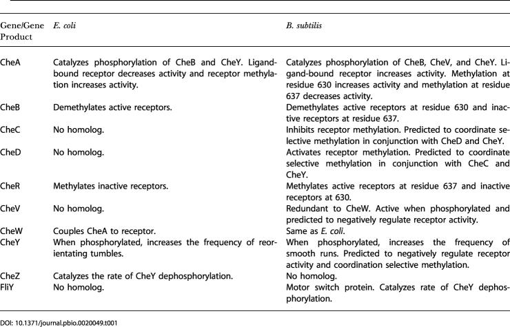 graphic file with name pbio.0020049.t001.jpg