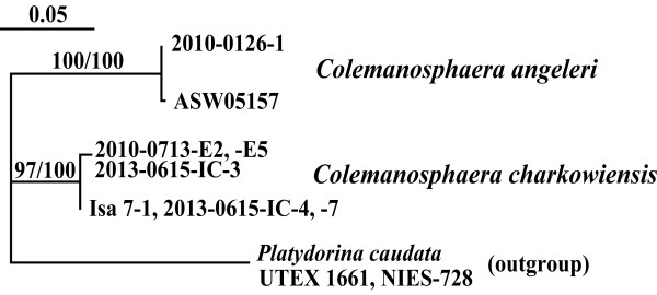 Figure 4