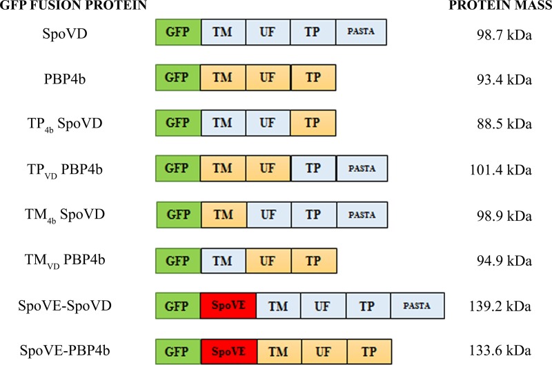 FIG 1