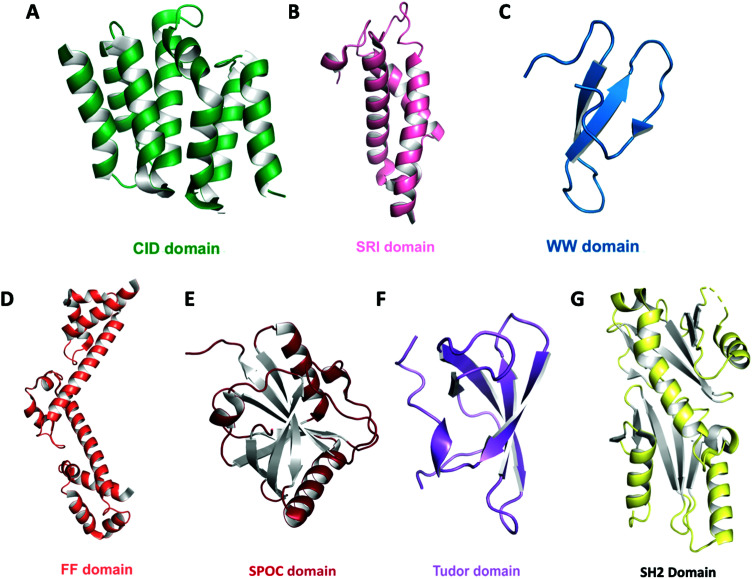 Fig. 4