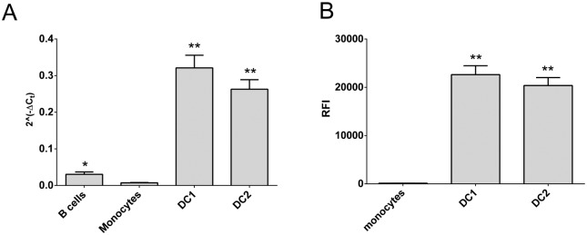 Fig 5