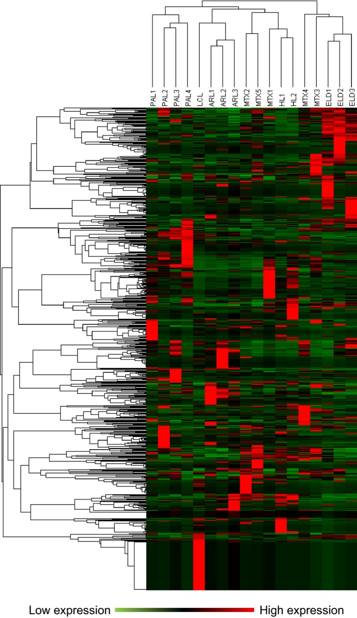 Figure 7