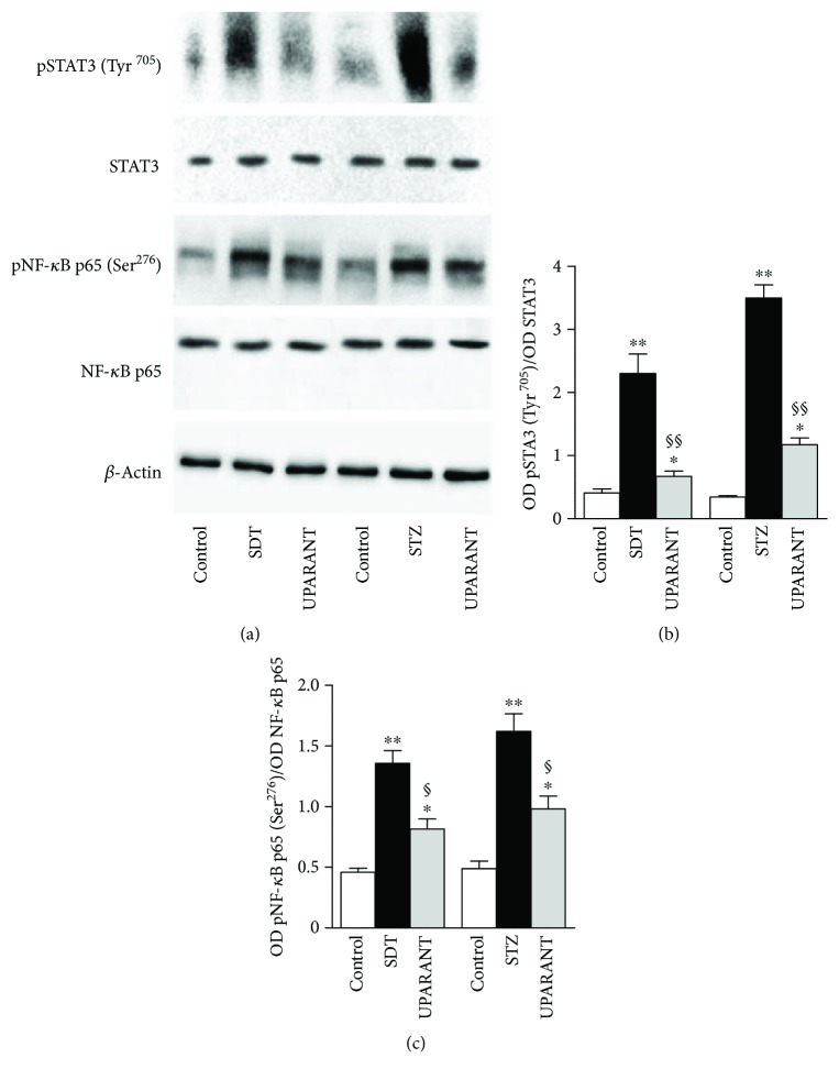 Figure 11