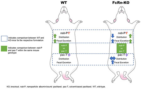 graphic file with name nihms-1773755-f0007.jpg