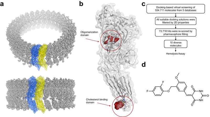 Fig. 1