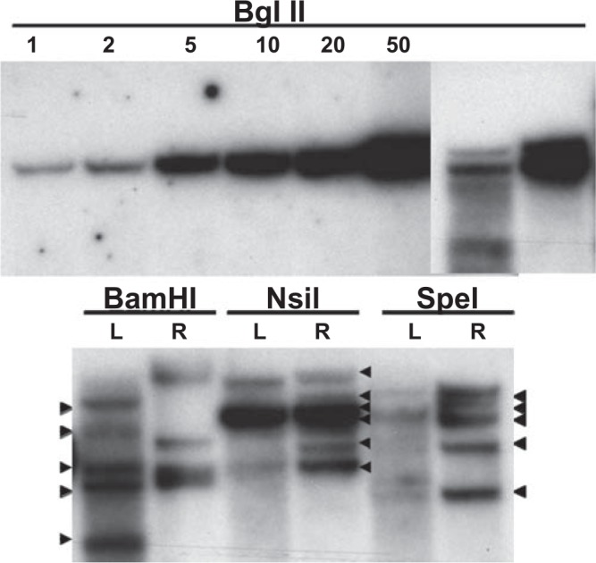 FIG. 5.