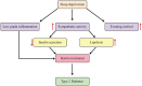 Flowchart illustrating how sleep deprivation contributes to type 2 diabetes. Sleep deprivation influences low-grade inflammation, sympathetic activity, and evening cortisol. These factors affect insulin secretion and lipolysis, leading to insulin resistance and eventually type 2 diabetes. Arrows indicate direction and relationships, with red arrows for increase and a red arrow pointing down for decrease. 