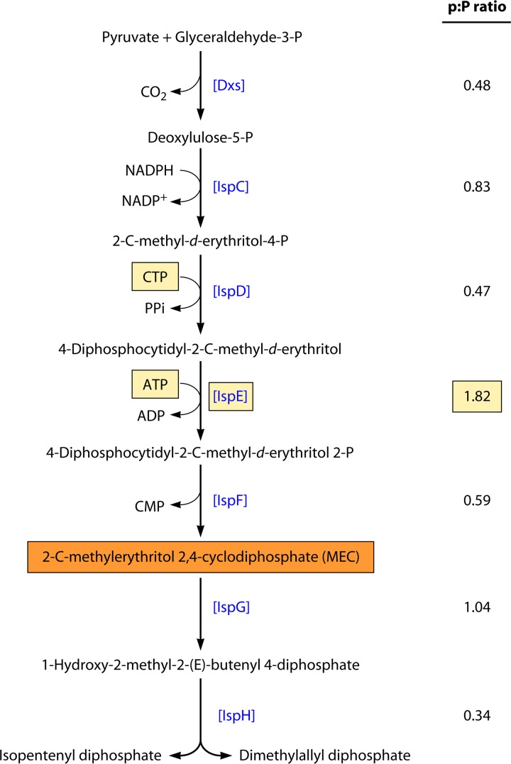 Fig 11